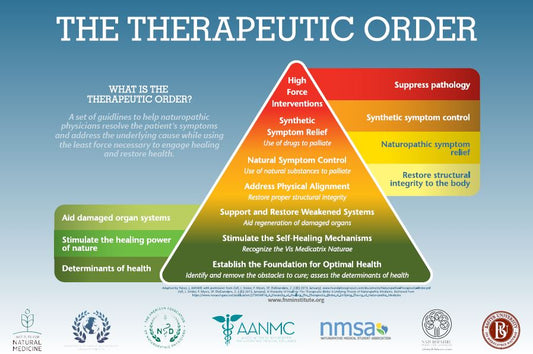 What is Naturopathy?