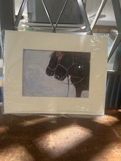 Winter Prewalski Horse, Prints 5R