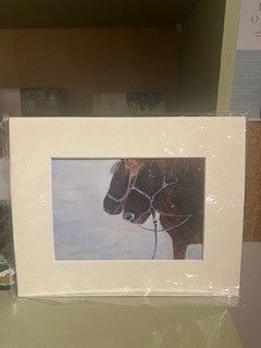 Winter Prewalski Horse, Prints 5R
