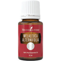 Tea Tree Young Living