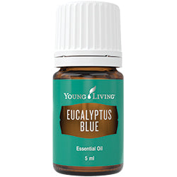 Eucalyptus Blue