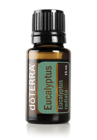 Eucalyptus